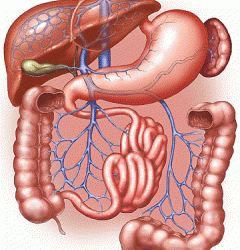 CLEANSE YOUR INSIDE BODY