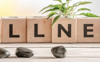 Keep The Mind Healthy To Keep The Body Healthy